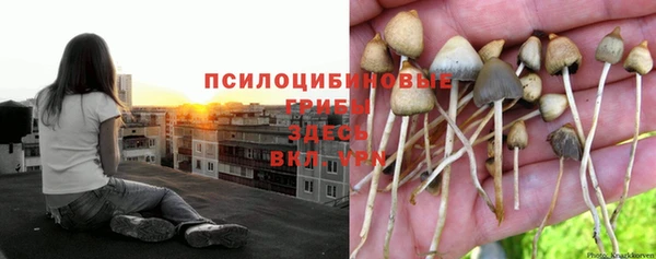 кокс Белоозёрский
