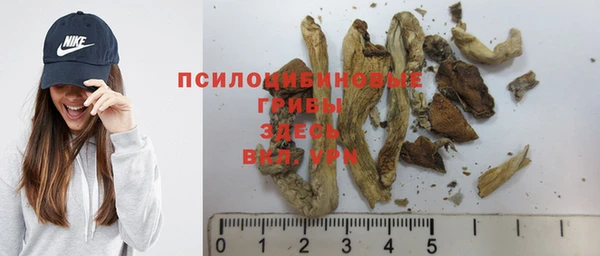 прущая мука Аша